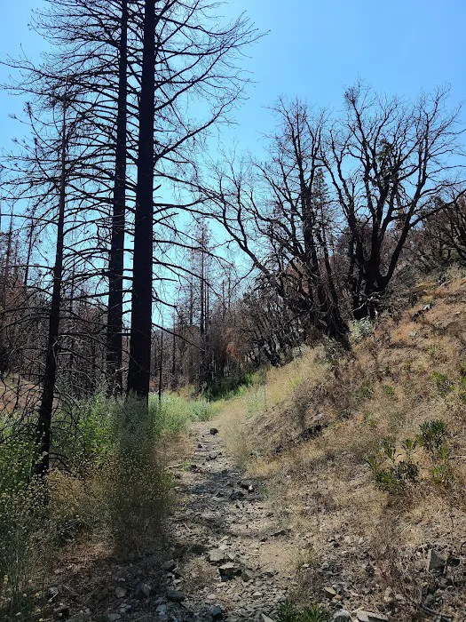 Cooper Canyon Trail Camp Picture 1