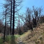 Cooper Canyon Trail Camp