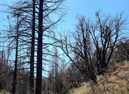 Cooper Canyon Trail Camp
