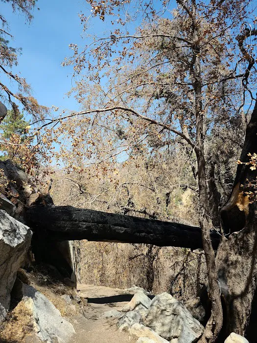 Cooper Canyon Trail Camp Picture 5