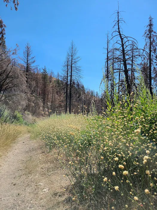 Cooper Canyon Trail Camp Picture 6
