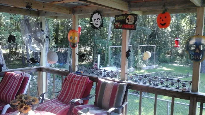 Forest Hollow Mobile Home Community Picture 9