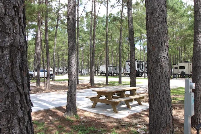 Blue Sky Lake Livingston RV Park & Cabins Picture 4