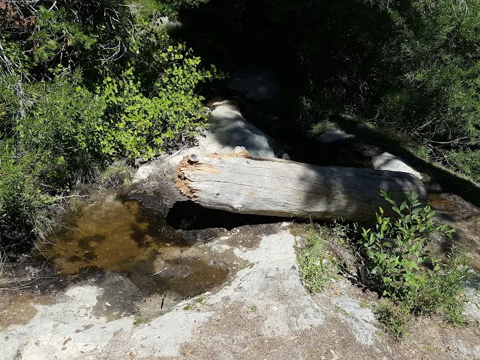 Buckhorn Campground Picture 10