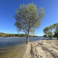 Camping Lot B ico
