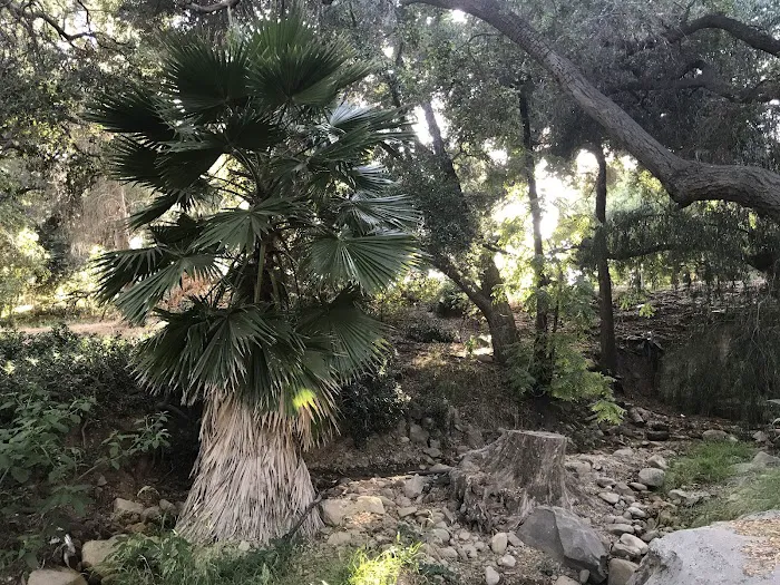 Kenney Grove Park Picture 8