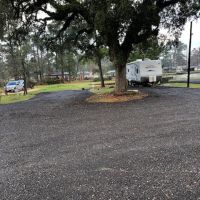 The Pines at Lake Livingston ico