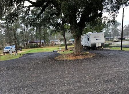 The Pines at Lake Livingston