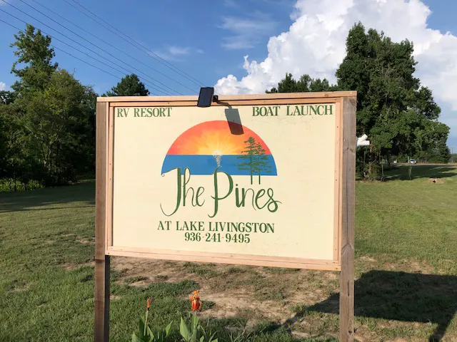 The Pines at Lake Livingston Picture 2