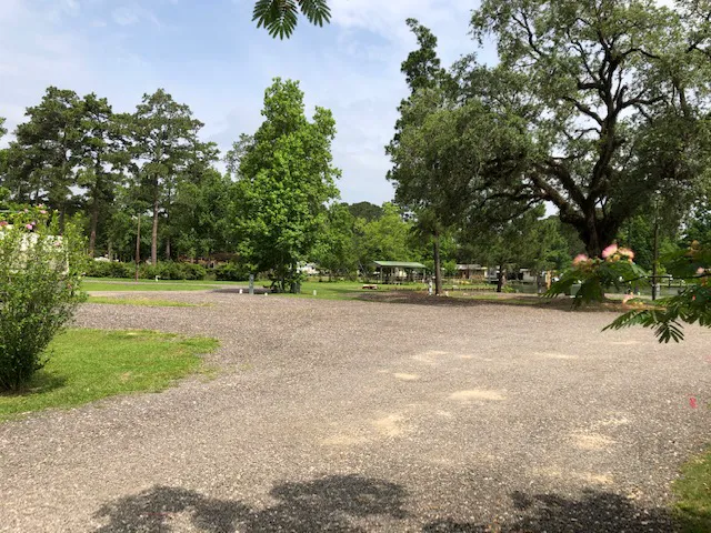 The Pines at Lake Livingston Picture 3
