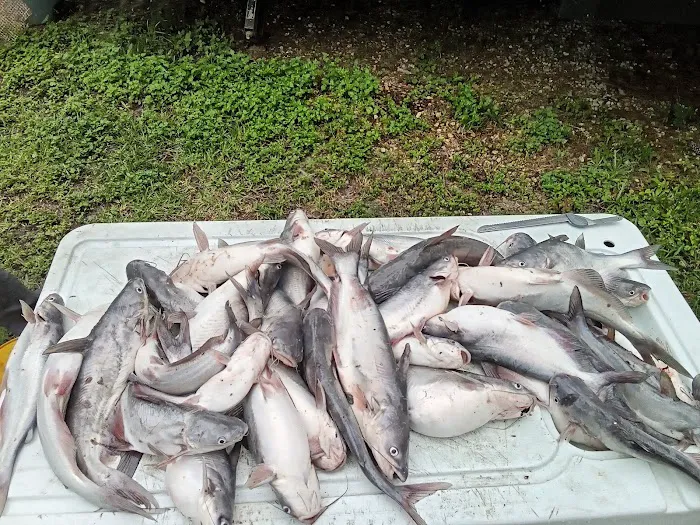 Lake Livingston Fish n Camp RV park Picture 1