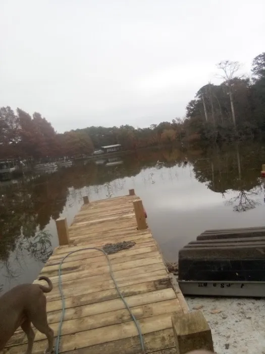 Lake Livingston Fish n Camp RV park Picture 4