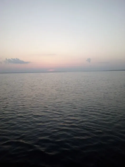 Lake Livingston Fish n Camp RV park Picture 5