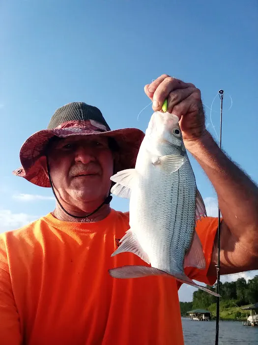 Lake Livingston Fish n Camp RV park Picture 6