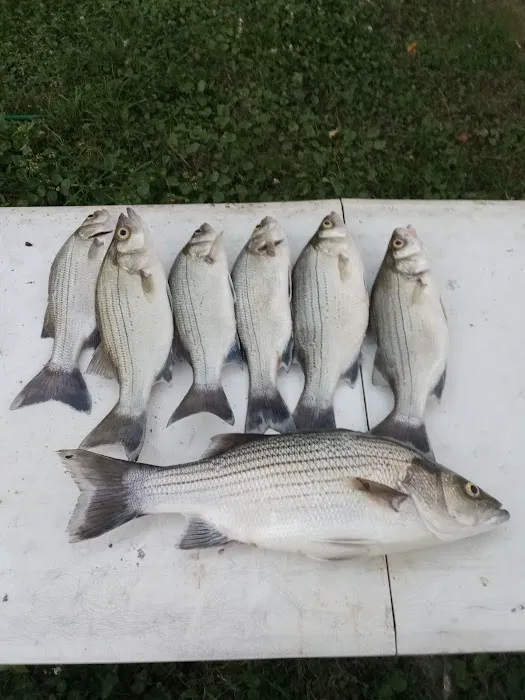 Lake Livingston Fish n Camp RV park Picture 8
