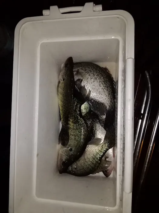 Lake Livingston Fish n Camp RV park Picture 10