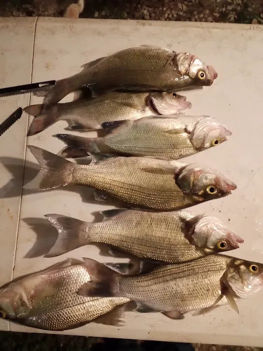 Lake Livingston Fish n Camp RV park Picture 9