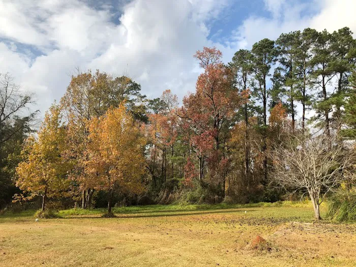 Magnolia RV Park Picture 6