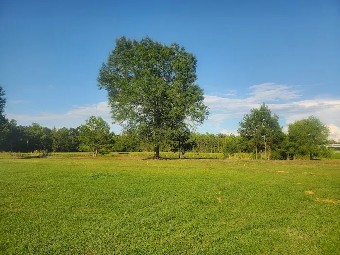 Ponderosa RV Ranch Picture 8