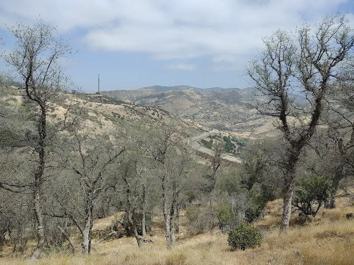 Oak Flat Campground Picture 2
