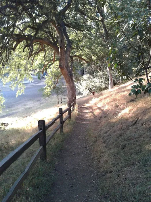 Oak Flat Campground Picture 10