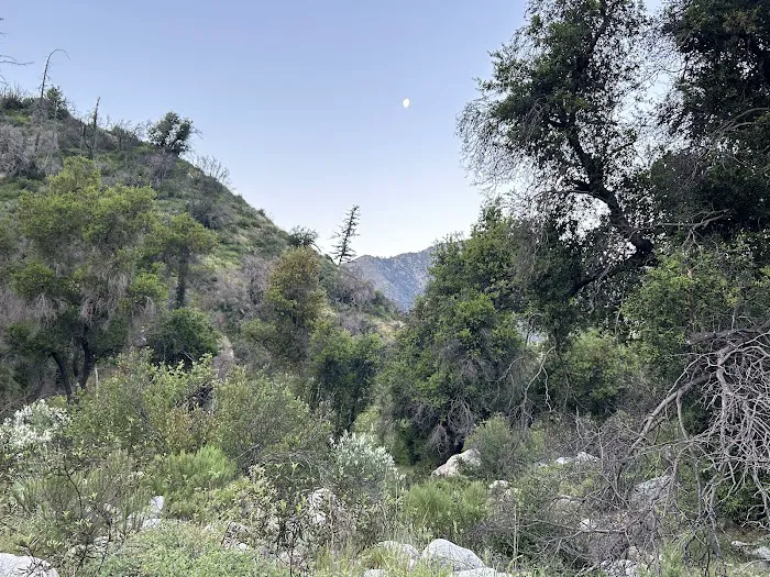 Lower Bear Campground Picture 2