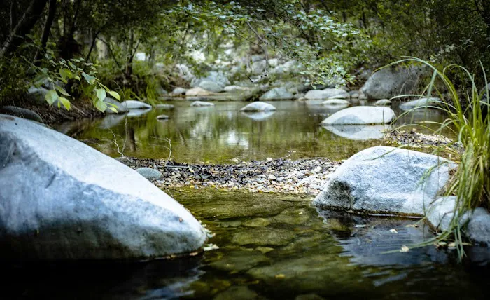 Lower Bear Campground Picture 4