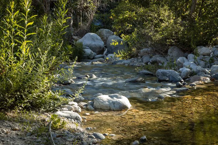 Lower Bear Campground Picture 6