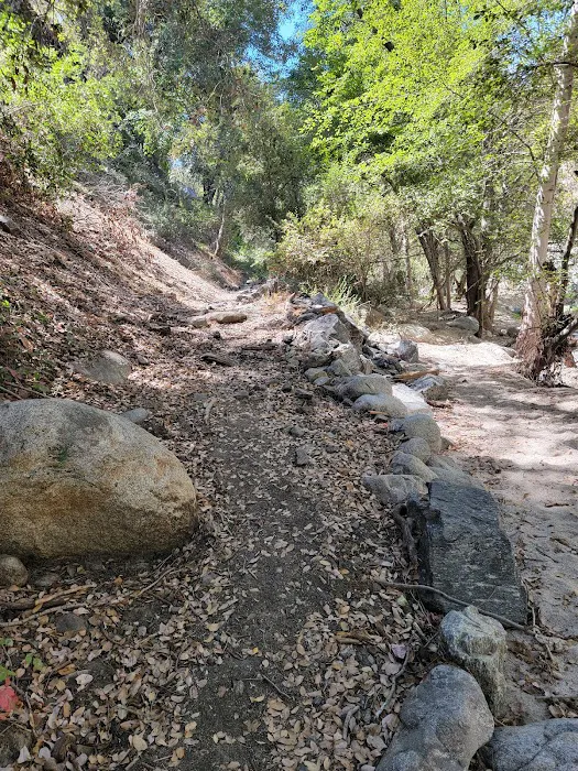 Lower Bear Campground Picture 8