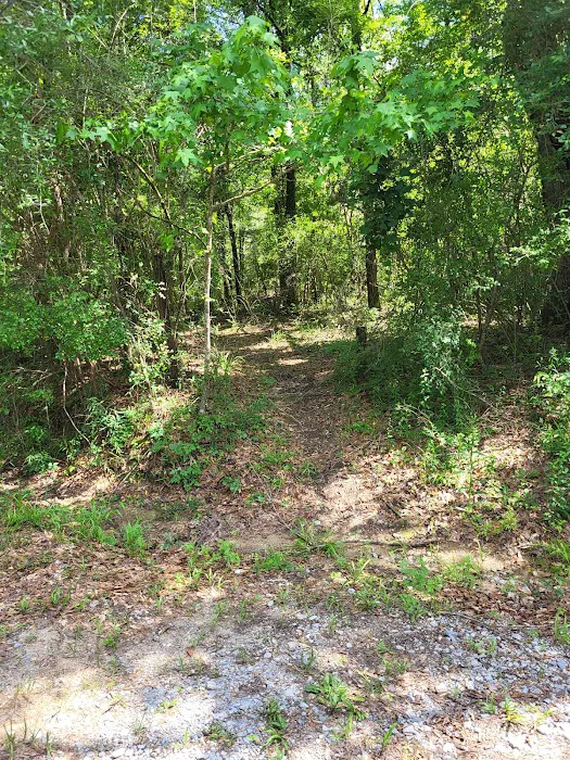 Bogia Boat Ramp Picture 7