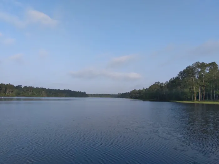 Escambia County Lake Stone Campground Picture 2
