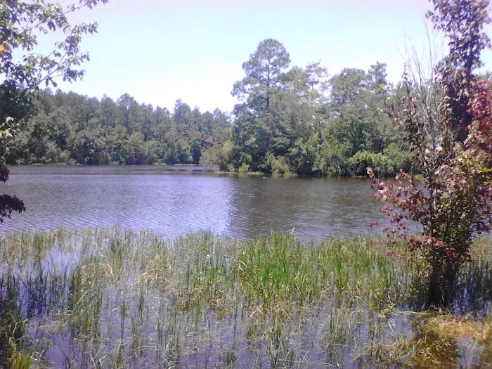 Escambia County Lake Stone Campground Picture 5