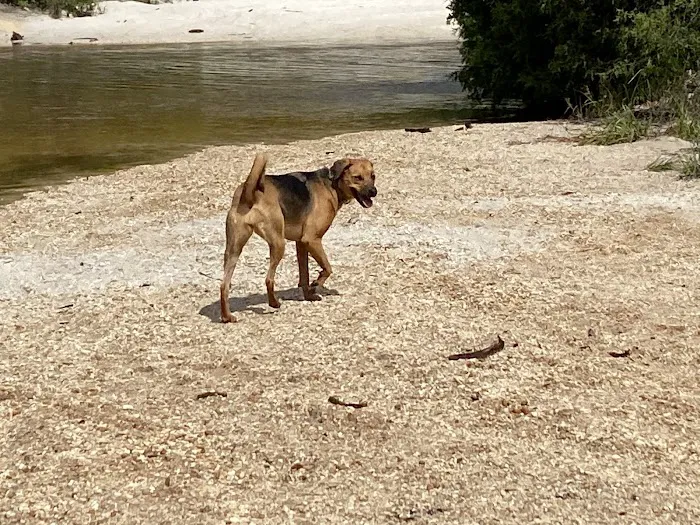Creek Adventures Campground Picture 6