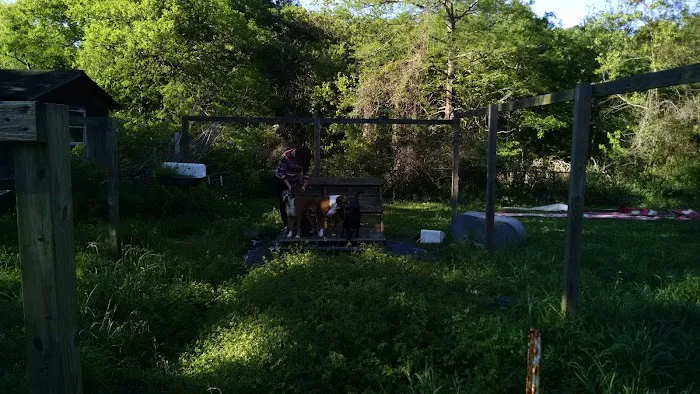 West Orange Mobile Home Comm Picture 5