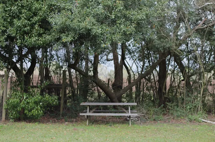 4C's RV Park Picture 8