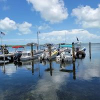 Campers Cove ico