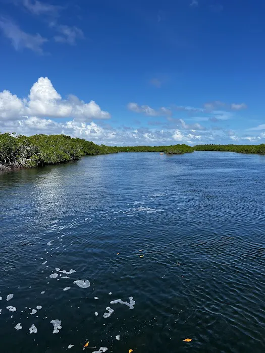 Key Largo Kampground & Marina Picture 9