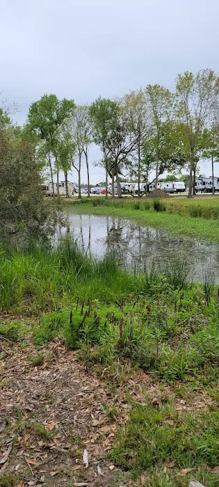 Town & Country RV Park Picture 7