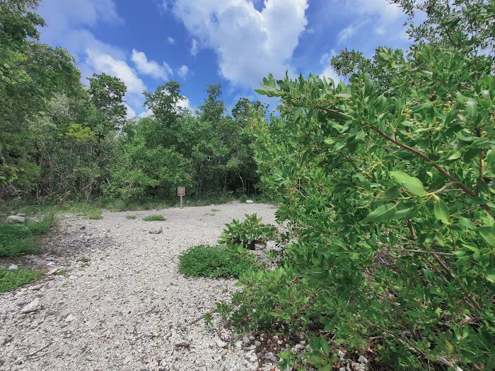 Port Bougainville Campsite Picture 1