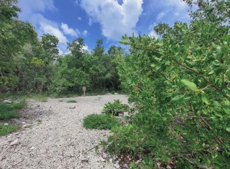 Port Bougainville Campsite