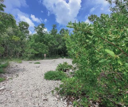 Port Bougainville Campsite