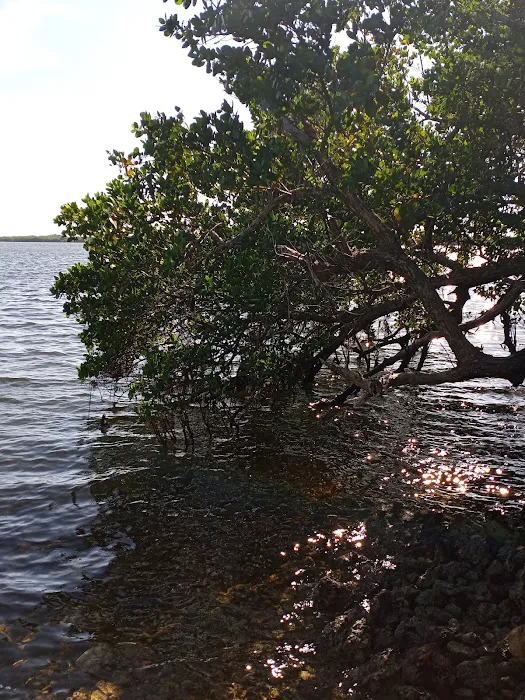 Port Bougainville Campsite Picture 7