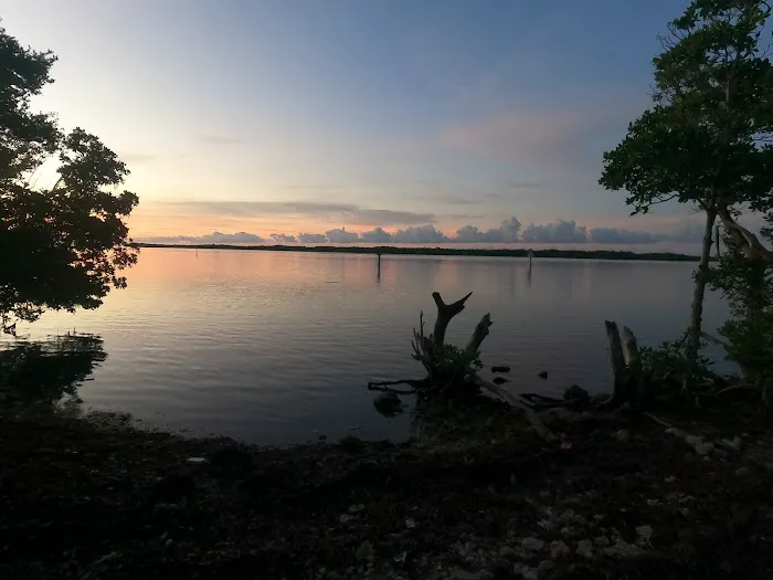 Port Bougainville Campsite Picture 10