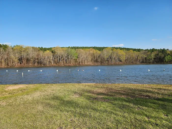 Little Pines Recreation Area Picture 4