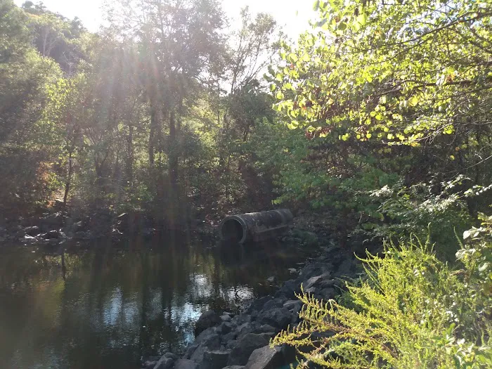 Little Pines Recreation Area Picture 6
