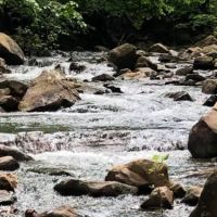 Fourche Mountain Adventures ico