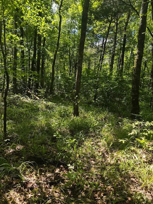 Fourche Mountain Adventures Picture 9
