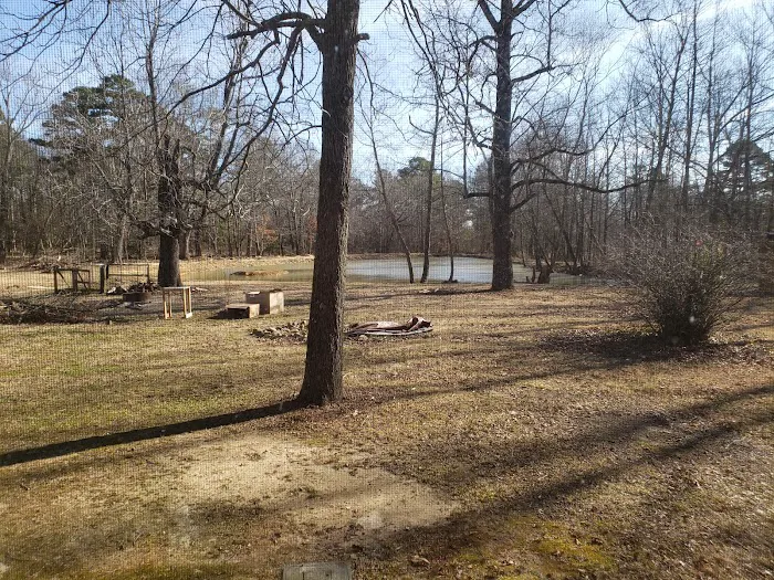 4 Seasons R V Park Picture 4