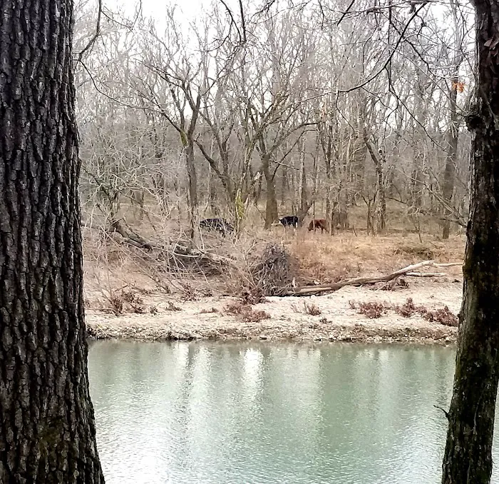 Shirley Creek Recreation Site Picture 2