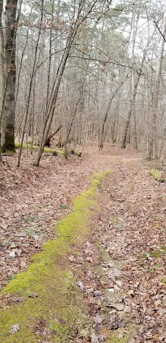 Shirley Creek Recreation Site Picture 7